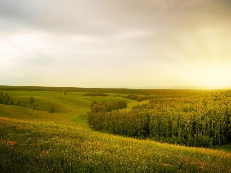Wandel beobachten ohne Deutung Wandel beobachten ohne Deutung